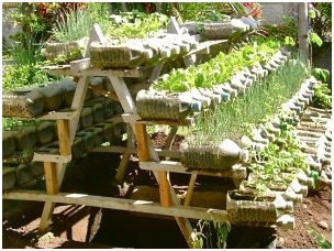 Ya tienes tu propio ‘macetohuerto’