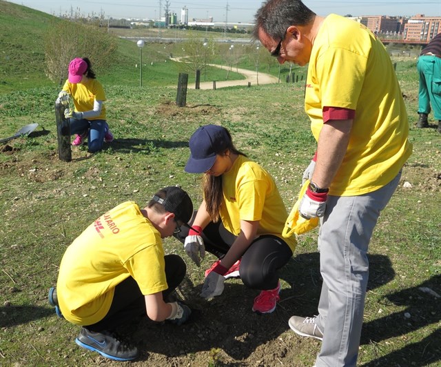 La plantación de más de 650 árboles en el distrito de Villaverde (Madrid) compensará 90 toneladas de CO2