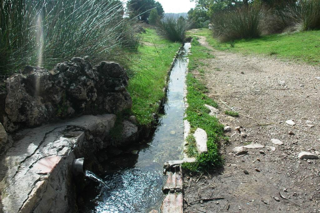 Medio Ambiente regula la recogida sostenible de setas en los parques naturales de Mariola y la Font Roja
