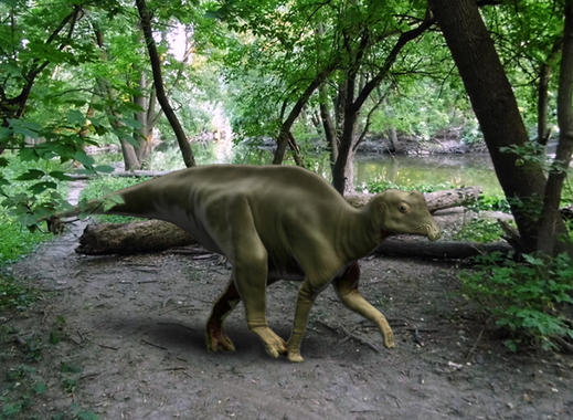 Estudian el fósil de una cría del dinosaurio Parasaurolophus