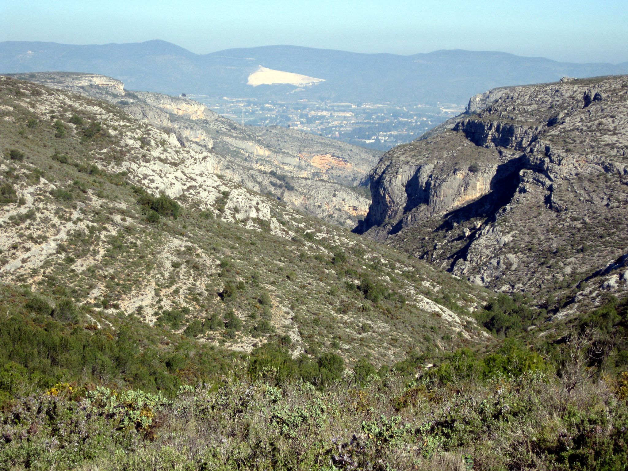 La lucha contra la desertificación favorece el desarrollo económico y el empleo en áreas rurales
