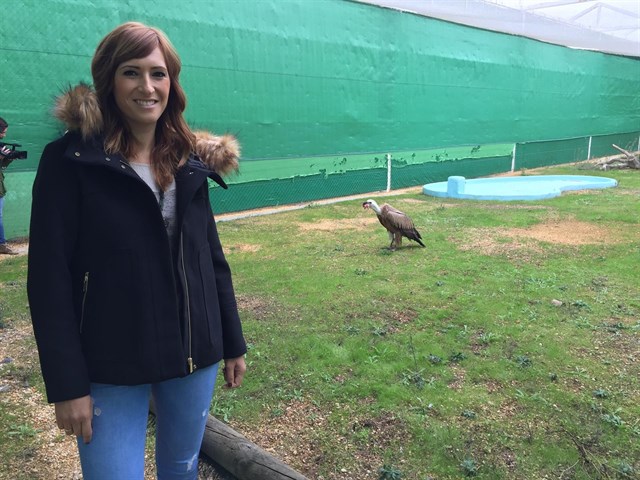 El CREA de Marismas del Odiel logra recuperar cinco linces ibéricos en cinco años