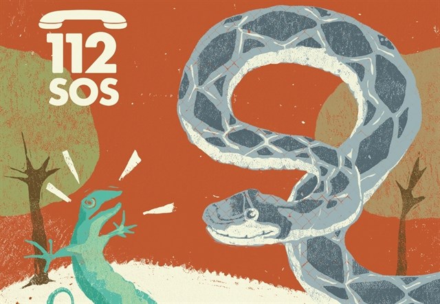 Más de 300 serpientes capturadas en Formentera y casi 500 en Ibiza durante 2016