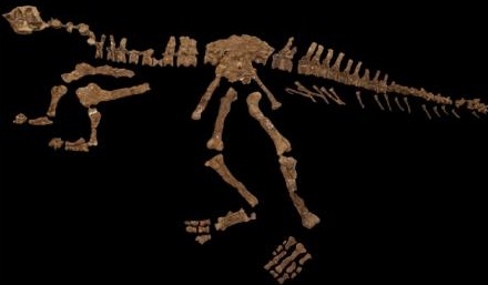 Descubren una nueva especie de dinosaurio en la Patagonia