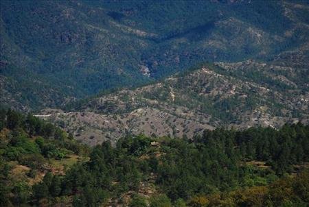 El Salvador: tala de Bosques en morazán afecta el ecosistema y la actividad turística
