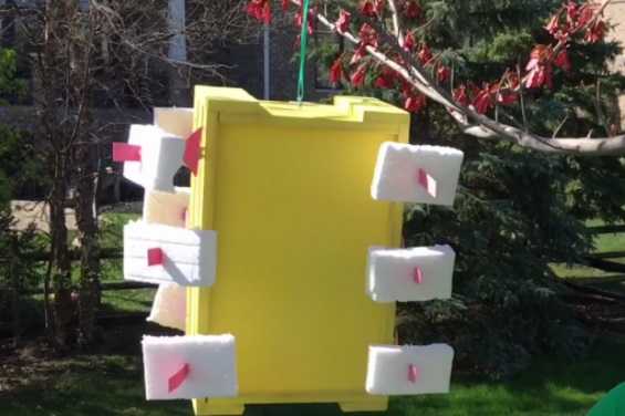 Un joven estadounidense crea energía renovable con un dispositivo de 5 $