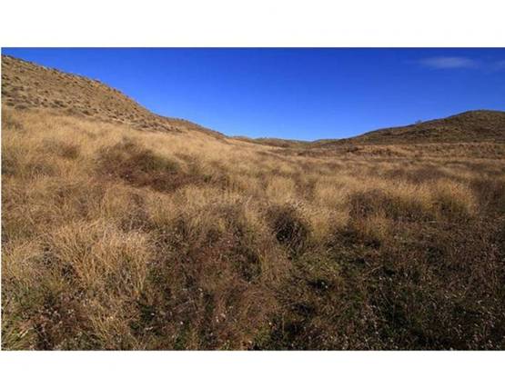 La UE investigará las quejas sobre depuradora en Valdemoro y Ciempozuelos (Madrid)