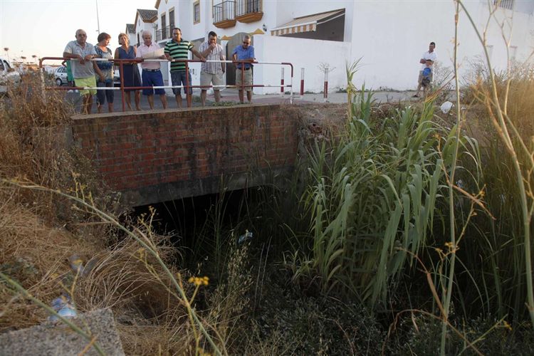 Vecinos de Cartaya critican la existencia de ratas y cucarachas por la cercanía de un arroyo en mal estado