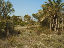 Murcia declara nuevas Zonas Especiales de Conservación