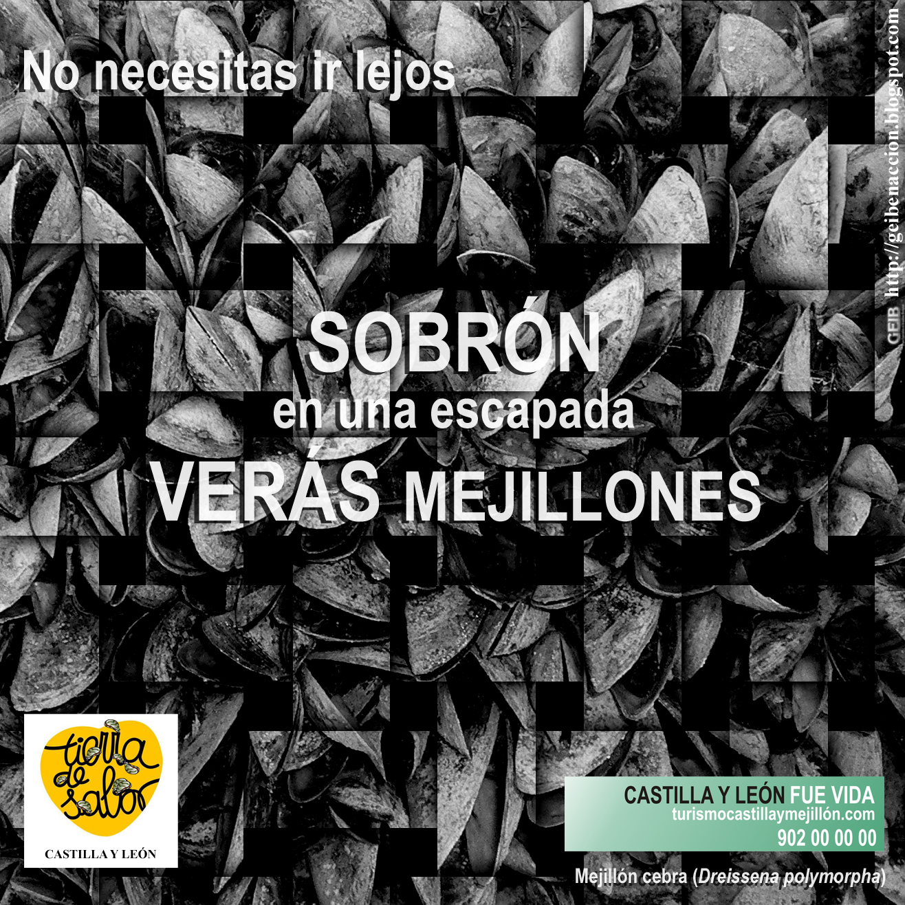 Cerco al mejillón cebra