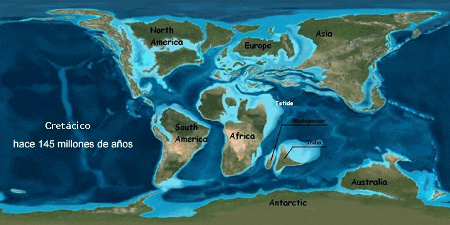 Estudios demuestran un enfriamiento climático global a finales del Cretácico