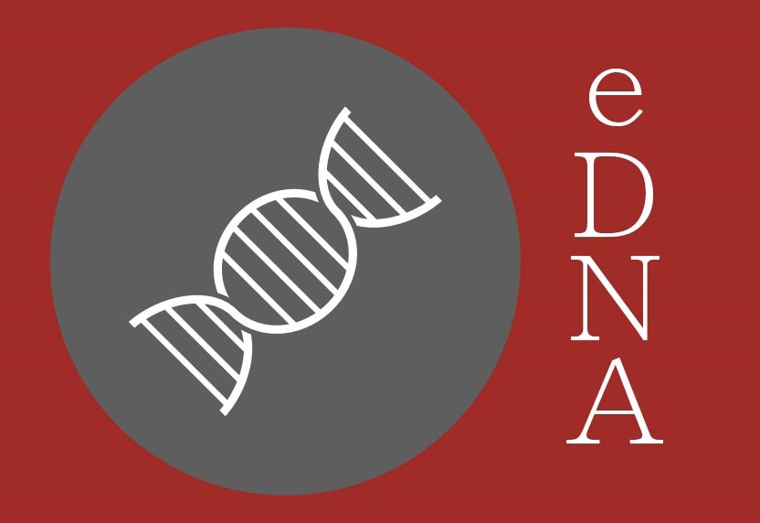 Una innovadora forma de investigar: el ADN Ambiental o eDNA