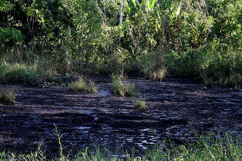 Ecuador se ‘libra’ de pagos por contaminación ambiental