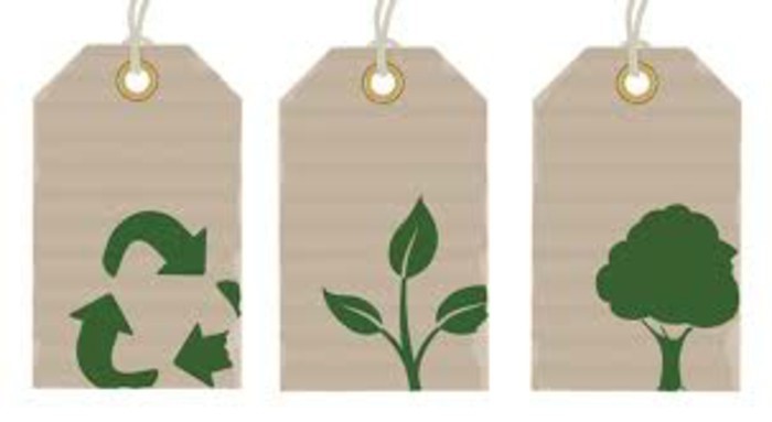 Innovaciones ecológicas y sostenibles