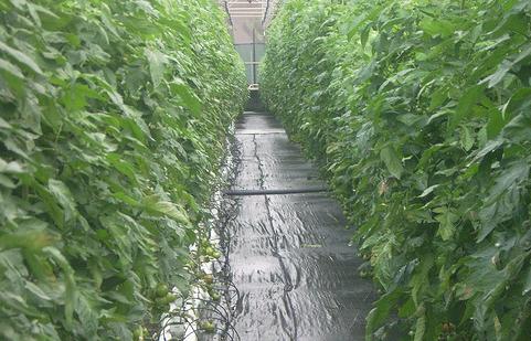 La Mancomunidad de Lea-Artibai pone en marcha la recogida selectiva de residuos agroganaderos