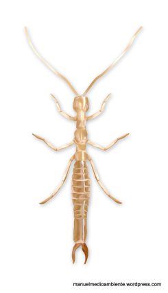 Las cuevas de Gollum