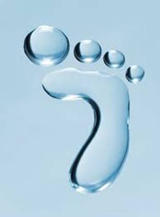 AMBIENTUM te forma en el cálculo de la huella hídrica