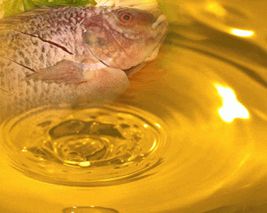 Biodiesel de aceite de pescado mejorado con aceites de palma y fritura