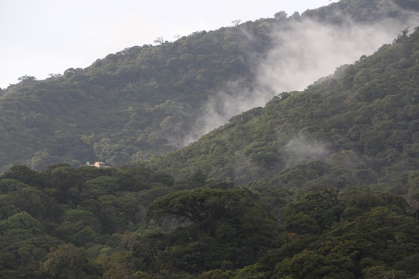 Costa Rica: Reserva Monteverde reabre sus puertas tras paso de Nate