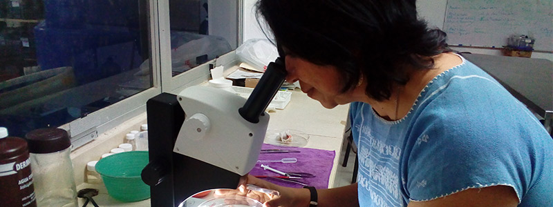 Isabel Jiménez: experta en ecología de parásitos