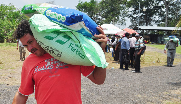 Desarrolló de semillas adaptadas al calentamiento global