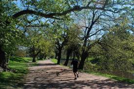 País Vasco. El Ayuntamiento de Vitoria acondiciona varios caminos del Parque de El Prado