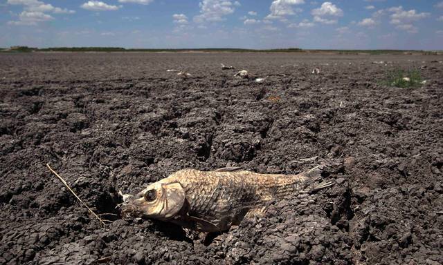 Los efectos de El Niño serán tremendos este año