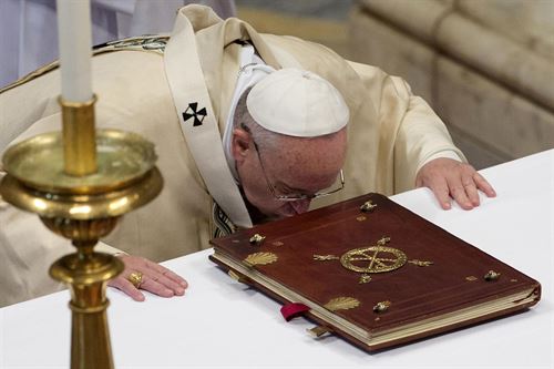 Las ONG medioambientales aplauden al Papa Francisco