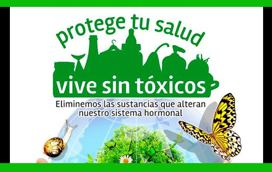 Toma nota: las ‘claves’ para disminuir tu exposición a los contaminantes hormonales