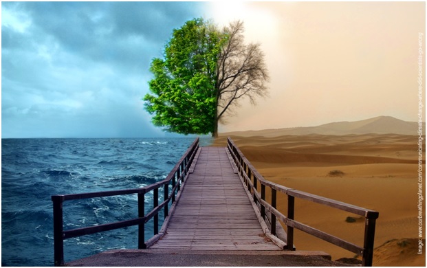 Directorio ONGs de Medio Ambiente