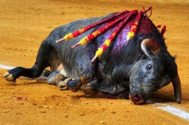 Los Verdes Europeos logran poner fin a las subvenciones europeas a los toros