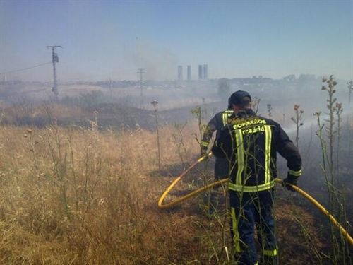 Los incendios forestales han quemado 12.339 hectáreas a 14 de julio
