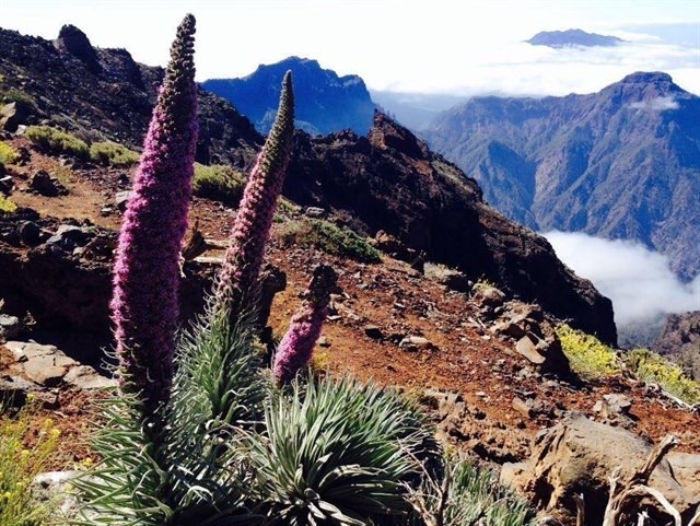 El Estado incrementa las ayudas destinadas a los municipios canarios con parques nacionales