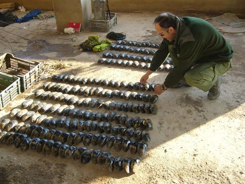 Tres agentes de protección de la naturaleza