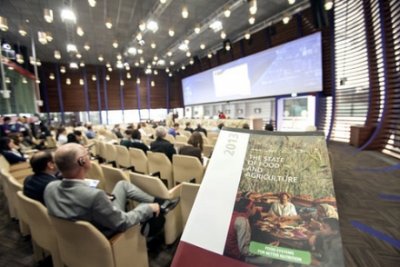 La FAO le pide al sector privado ayudar a los consumidores a tomar decisiones alimentarias saludables