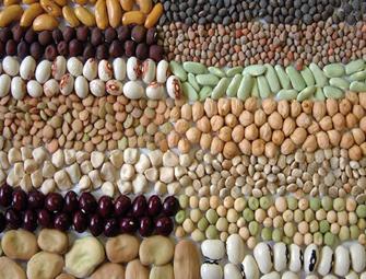 Una propuesta de conservación y utilización a largo plazo