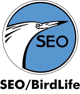 SEO/BirdLife te invita a celebrar el Día de las Aves con más de 500 actividades por toda España