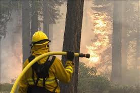 Andalucía desde enero ha padecido 740 incendios forestales