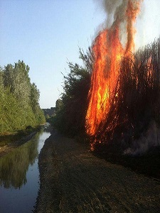 Campaña sistemática de incendios en el río Vélez