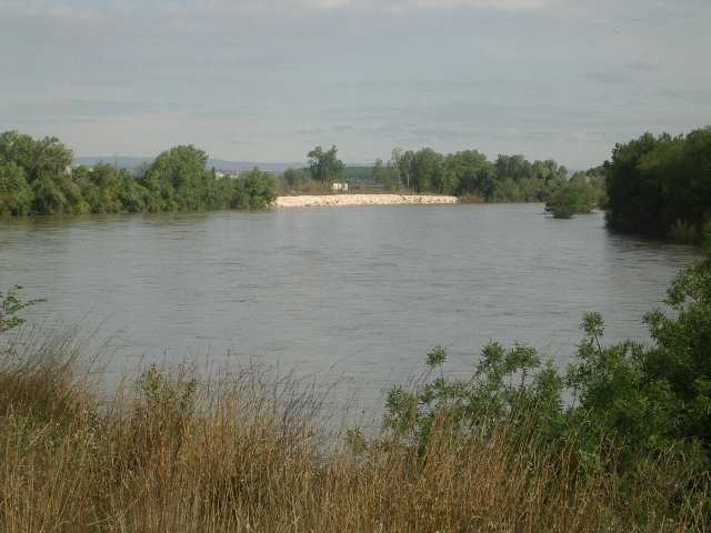 La ribera del Ebro protagoniza el arte medioambiental de Nacho Arantegui