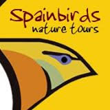 AMUS ‘Premio SPAINBIRDS’