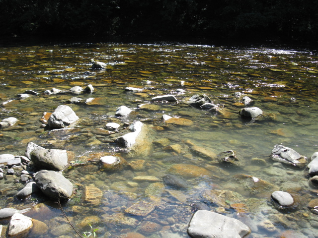Denuncian las irregularidades de los vertidos de la mina de Carles en Salas de la empresa Kinbauri España SL al rio Narcea.