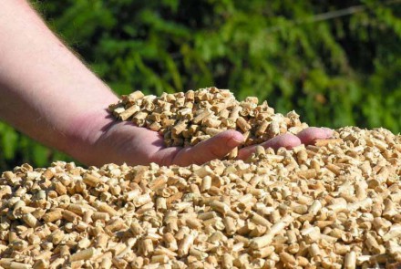 El Proyecto Metabioresor reduce residuos y subproductos agrícolas en Lorca