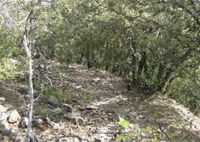 Recuperarán la vía pecuaria entre el monasterio de Poblet y la villa de Prades