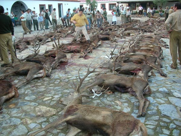 El Ayuntamiento de Cogollos de la Vega quiere declarar la montería como Bien de Interés Cultural de Andalucía