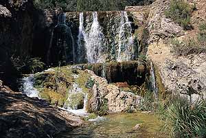 El Comité Andaluz de Reservas de la Biosfera impulsa la adecuación de estos espacios a los compromisos de la Unesco