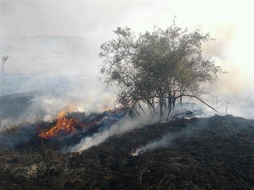 Cantabria sigue ardiendo