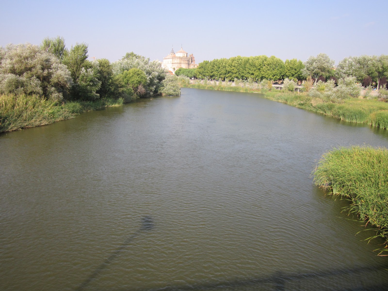Las administraciones se deben implicar para que ‘el Tajo no sea un río muerto’