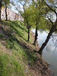 Denuncian la destrucción de la ribera del Pisuerga al sur de Valladolid