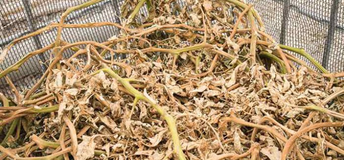 Andalucía impulsa una línea integral para gestionar restos vegetales de la horticultura